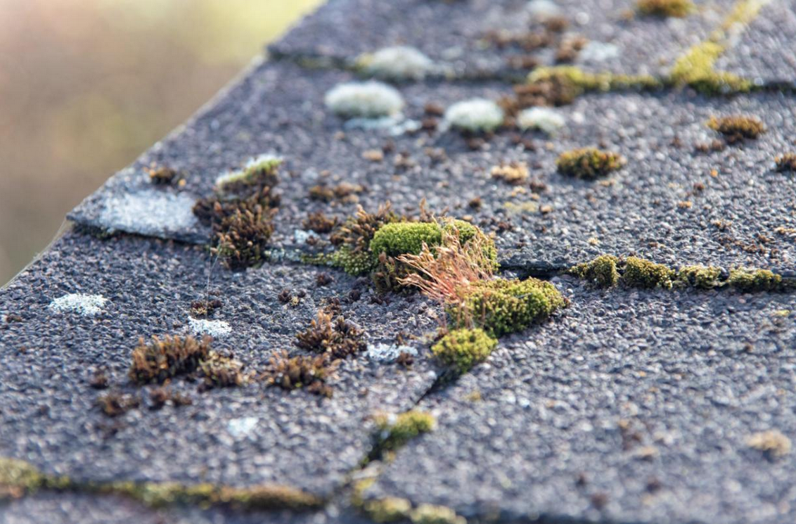 Střešní krytiny: Jak vybrat správný typ