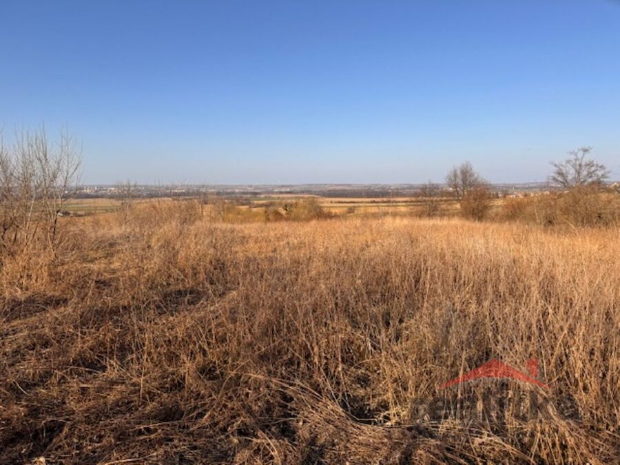 Prodej pozemku 9675m2, les a travnatý porost, Vršovice u Opavy – fotografie 6