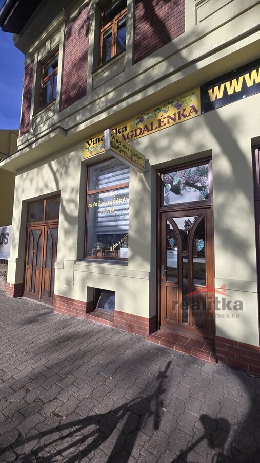 Prodej nebytového prostoru, 37m2, Opava, ul. Nákladní