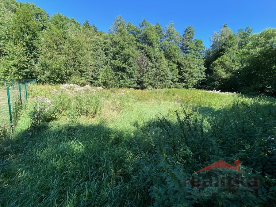 Prodej pozemku 3.120 m2 u přehrady Kružberk, v obci Svatoňovice, okres Opava