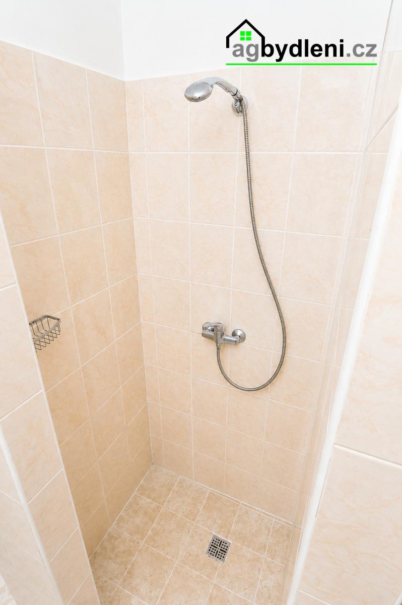 Prodej ubytovacích prostor 1+kk v Plzni – fotografie 6