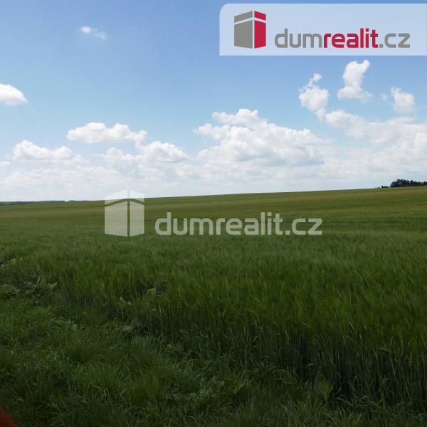 Prodej pozemku, Zemědělská půda, 11679 m2 – fotografie 6