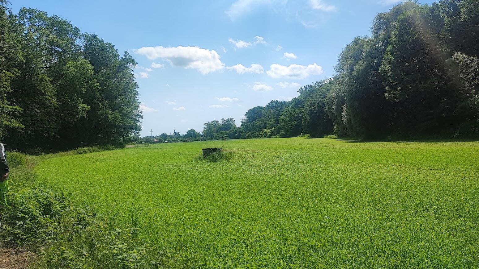 Prodej pozemků-zahrad, ve Vyškově