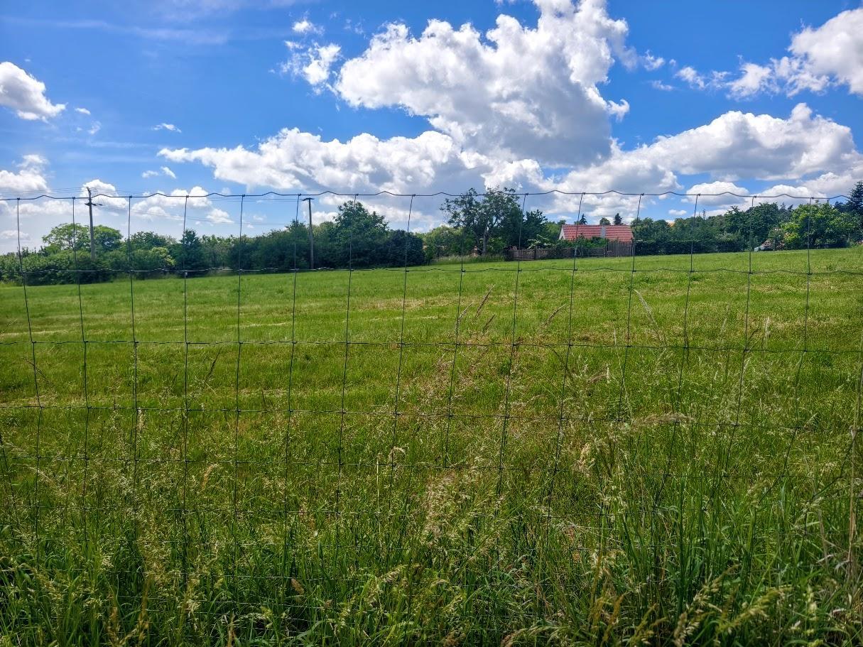 Stavební pozemky v Radslavicích