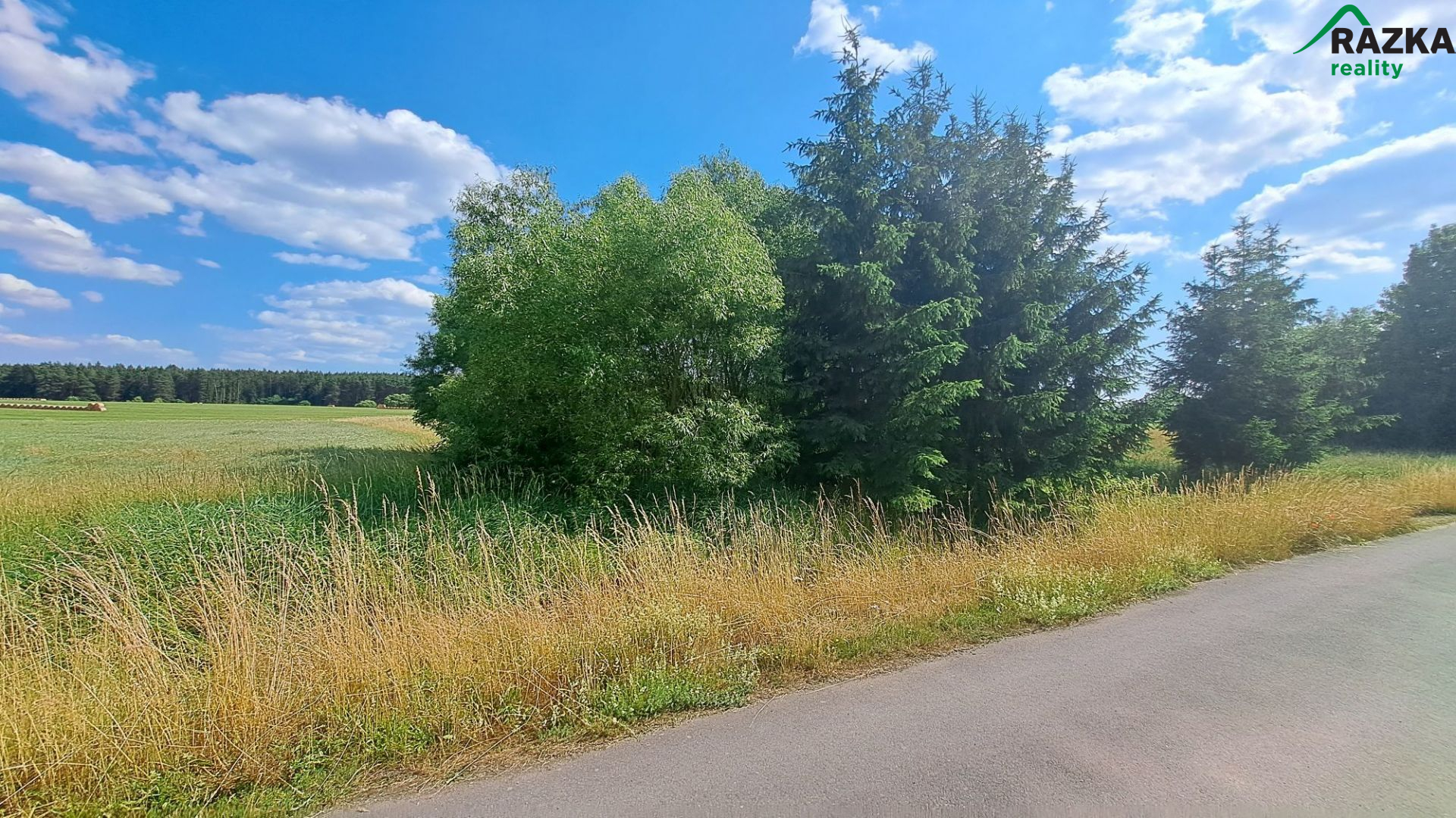 Pozemek 393 m2 v k. ú. Kumpolec, okr. Tachov – fotografie 6