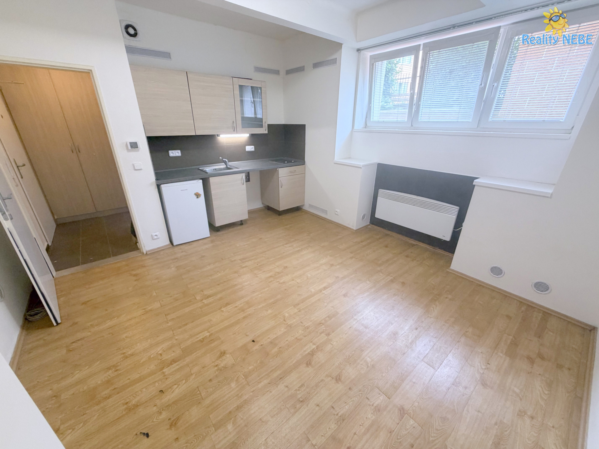 Pronájem garsonky 26m2 U Družstva Ideál Praha Nusle
