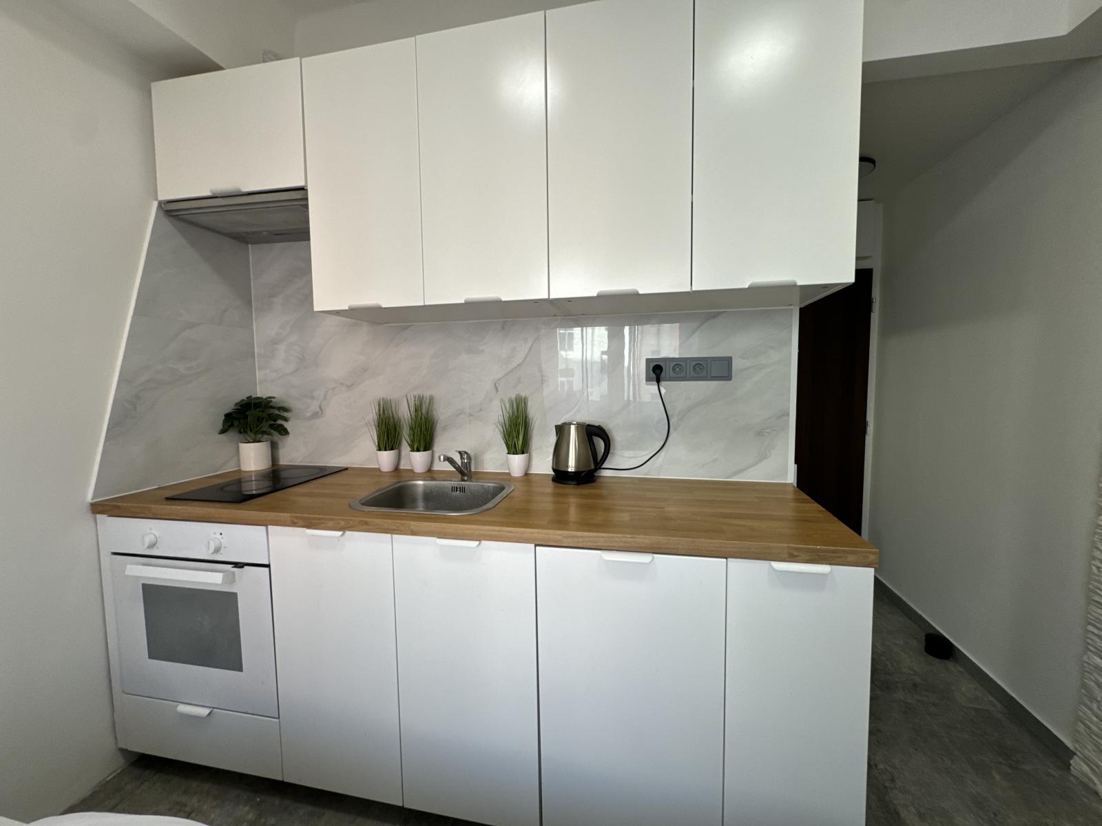 Prodej bytu 3+1, 62 m2, Praha 2, Nové Město – fotografie 6