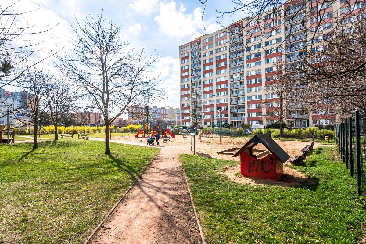 Miniatura