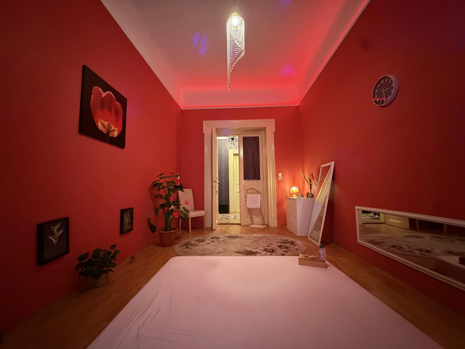Pronájem erotického salonu, 3+1, 98 m2, Praha 1 Nové Město