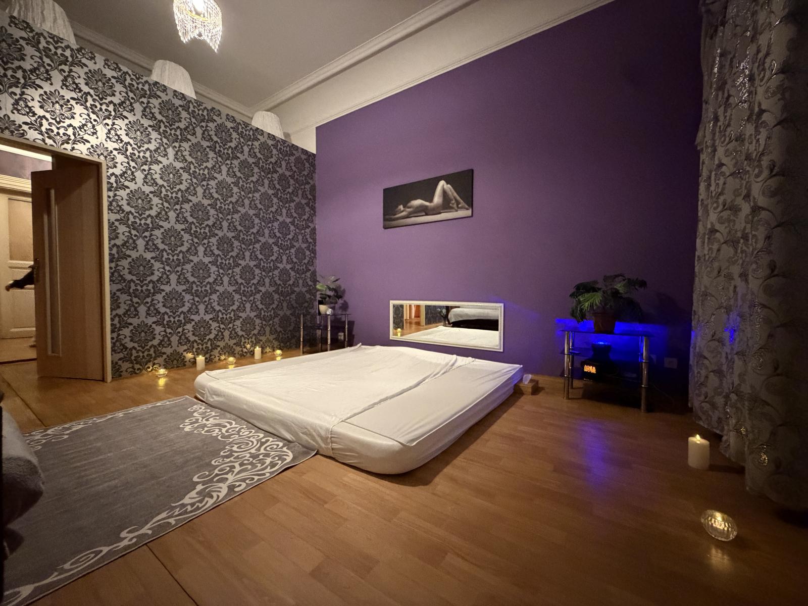 Pronájem erotického salonu, 3+1, 98 m2, Praha 1 Nové Město – fotografie 6