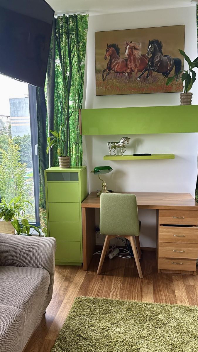 Pronájem bytu 1+kk, 42m2, Praha 4 - Nusle – fotografie 6