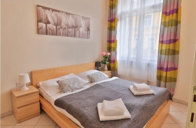 Pronájem bytu 2+kk, 35 m², Tyršova, Praha 2 Nové Město