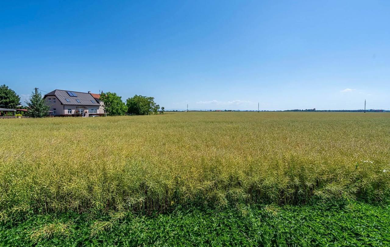 Prodej stavebního pozemku 14 692 m², Polní, Stěžery
