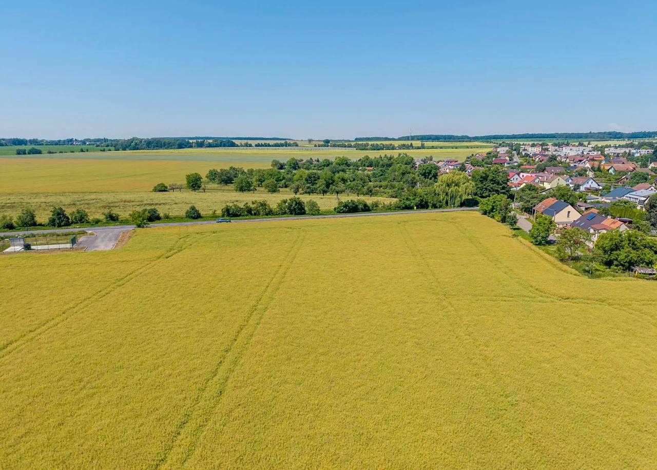 Prodej stavebního pozemku 14 692 m², Polní, Stěžery – fotografie 6