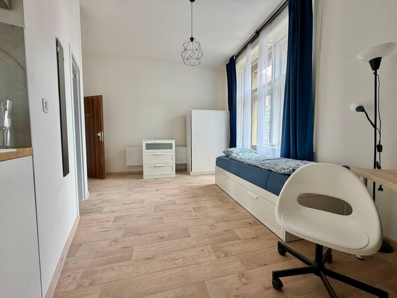 Pronajem bytu 35m2, Praha 2, Nové Město – fotografie 6